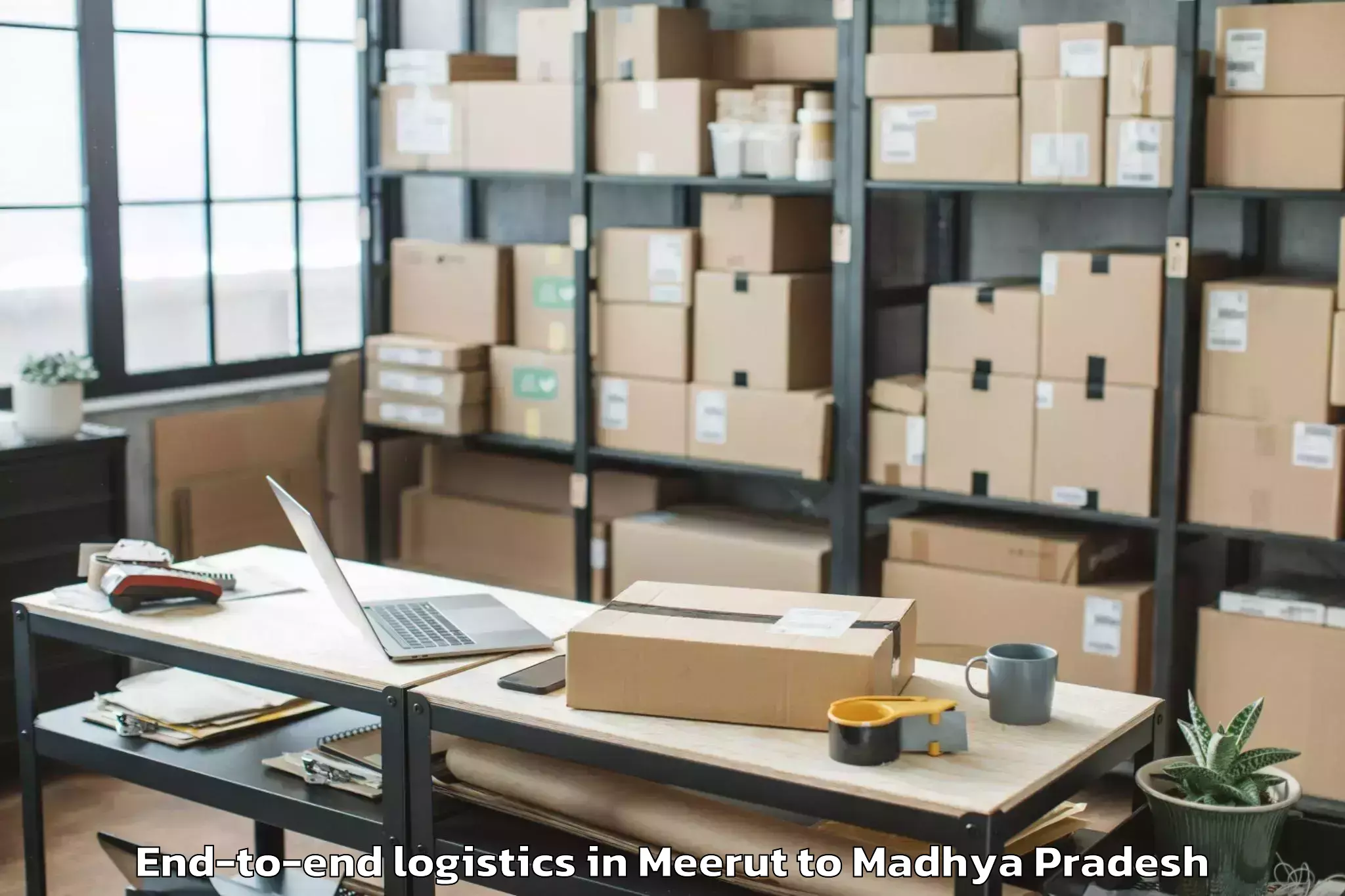 Professional Meerut to Khargone End To End Logistics